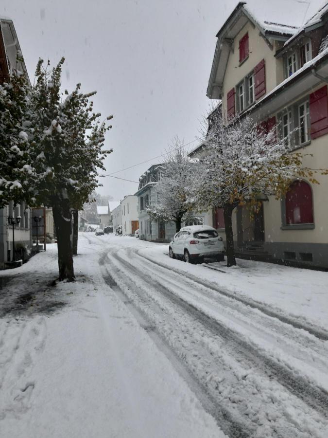 Ferienwohnung Rothorn Meiringen Eksteriør billede